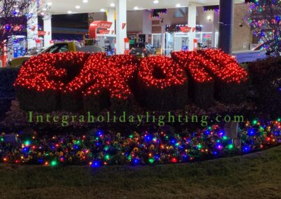 IMG 3785 - Integra Christmas Lights
